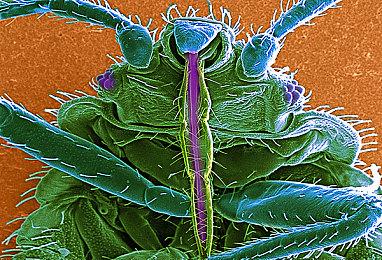 年底发售 VR新作《亚利桑那阳光2》上市日期公布